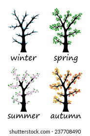 Four season collage: spring, summer, autumn, winter. Set of 4 trees with green, orange and brown leaves, flower and bare branches design, vector art image illustration, isolated on white background