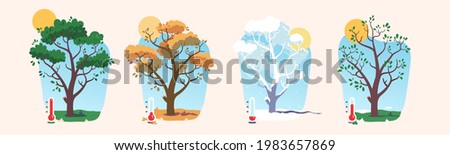 Four season tree plant, thermometer showing temperature set. Tree with green, yellow foliage leaves, snow covered bare branches. Summer, autumn, winter, spring weather nature flat vector illustration