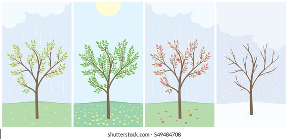 Four Season With Tree. Spring, Summer, Autumn And Winter. Passing Of Time. Simple Vector Illustration