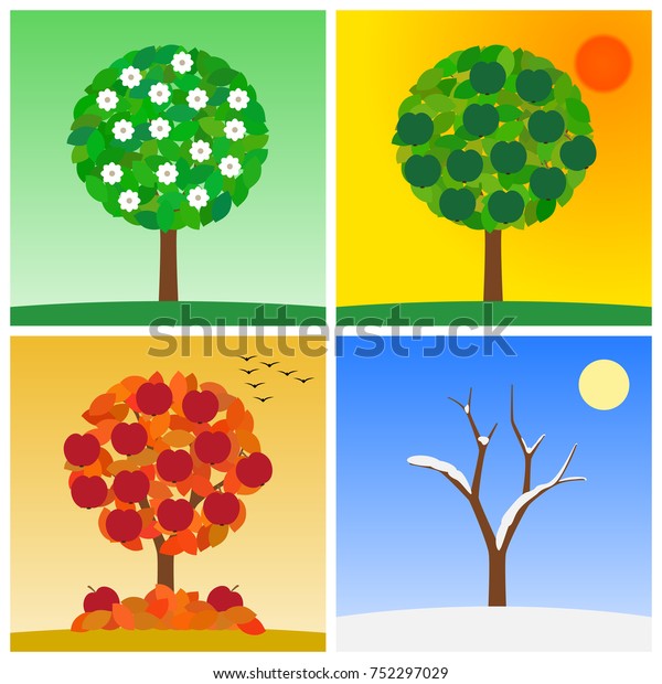 four season of year - spring, summer, autumn, winter with tree on ...