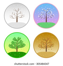 four seasons of cherry blossom tree round icons vector illustrations