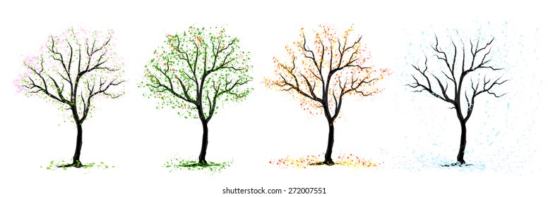 Four seasons of the cherry tree on white background, vector