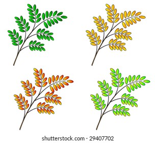 Four seasons colorful tree branches