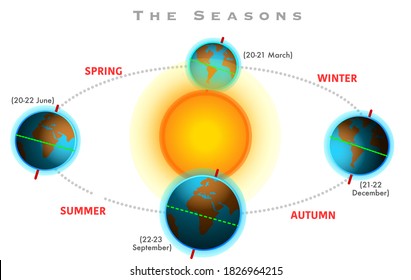 Four seasons. Seasons formation. Earth's position and distance from the sun. Spring. Vernal, autumn equinox, Winter, summer solistice. White background. Illustration vector