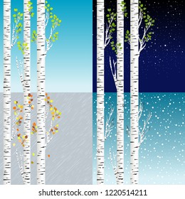 Four seasons illustration with birch tree