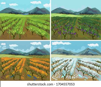 Four seasons. Landscape with vineyard at different time of the year: winter spring, summer, autumn