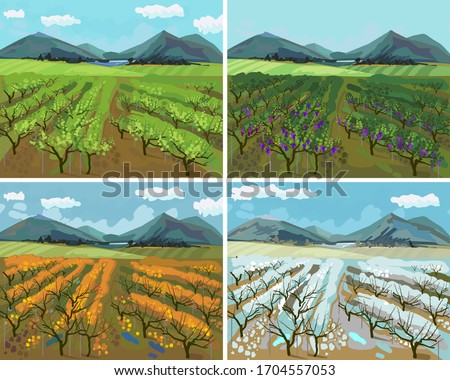 Four seasons. Landscape with vineyard at different time of the year: winter spring, summer, autumn