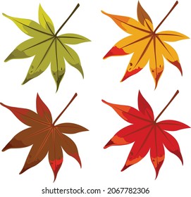 Four seasons maple leaves drawing vector about autumn  winter  spring   summer 