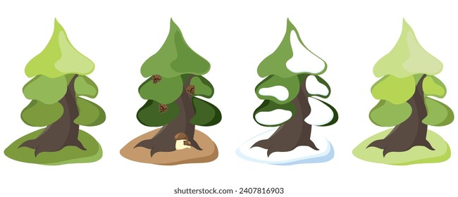 Four seasons pine tree isolated on white background, spring , green summer, autumn, snow winter. 