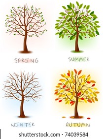 Four Seasons - Spring, Summer, Autumn, Winter. Art Tree Beautiful For Your Design. Vector Illustration.