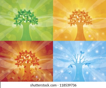 Four Seasons Spring Summer Fall Winter Trees with Sun Rays Background Illustration Vector