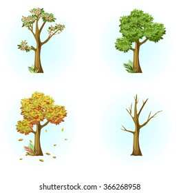 Four seasons , tree , autumn, winter , snow, tree blossoms , spring, deciduous tree