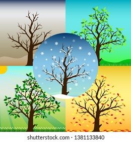 Four seasons of tree contain Spring Summer Autumn Winter and the dead one with weather background