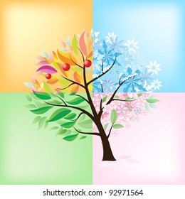 Four Seasons Tree. Illustration on white background