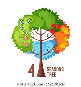 Four seasons tree isolated on white background vector illustration