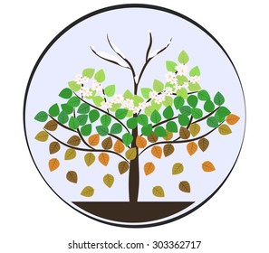 four seasons tree round icons vector illustrations