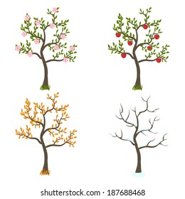 four seasons trees art - vector illustration. eps 8