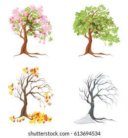 Four Seasons Trees On White Background. Summer, Spring, Fall And Winter.