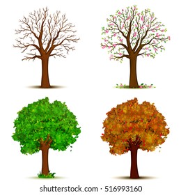 Four Seasons Trees Vector Stock Vector (Royalty Free) 516993160 ...