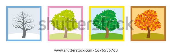Four seasons. Trees in winter, spring,\
summer and fall with different foliage in typical colors and shades\
while the leaves turn throughout the course of a year. Vector\
illustration.\
