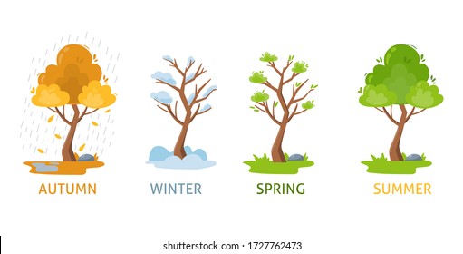 Four Seasons of weather with tree - Autumn, Winter, Spring, Summer. Vector illustration isolated on white background. - Shutterstock ID 1727762473