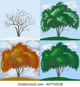 Four Seasons Winter Spring Summer Autumn Stock Vector (Royalty Free ...