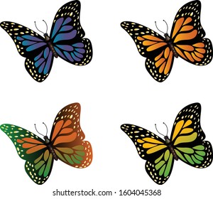 Four set of butterflies vector design on white background.It is very easy to edit of individual objects and layer. 