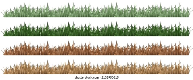 Vier Grasset in verschiedenen Farbgrafik