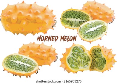 four set of Horned Melon pieces 