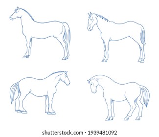 Four set of horses, hand drawn vector illustration