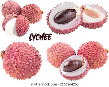 Four set of Lychee with pieces