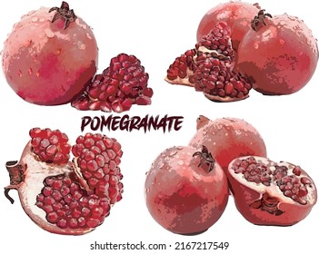 Four set of red Pomegranate collection