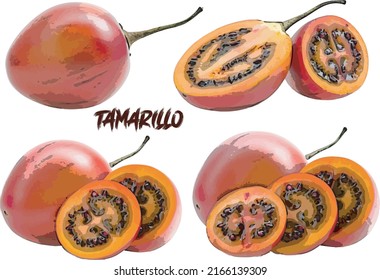 Four set of  tamarillo Fruit collection