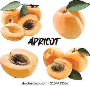 four set of Yellow apricot with leafe