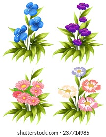 Four sets of blooming flowers on a white background