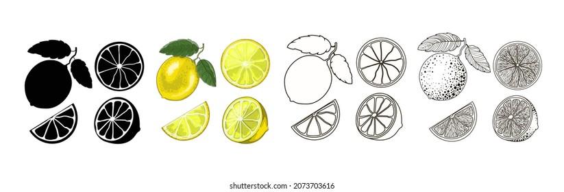 Four sets of lemons - black silhouette, cartoon, doodle and outline style. One lemon on a branch with two leaves, half and two slices isolated on a white background. Vector