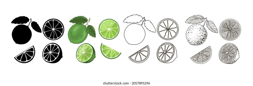 Four sets of limes - black silhouette, cartoon, doodle and outline style. One lime on a branch with two leaves, half and two slices isolated on a white background. Vector