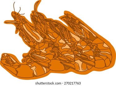 Four Shrimps, illustrator
