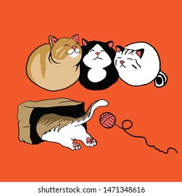 four sibling cat with different color