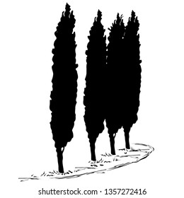 Four silhouettes of a tree of a cypress (Cupressus L.) and a footpath along them, the black vector image on a white background