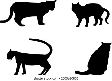 Four silhoutees of various cats. They are standing, sitting.