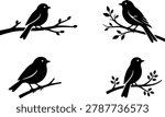 Four simple bird silhouettes perched on leafy branches, showcasing serene songbirds on a transparent background.