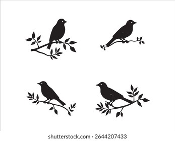 Four simple black bird silhouettes perched on tree branches for design purposes