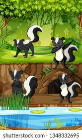 Four skunks In Jungle illustration