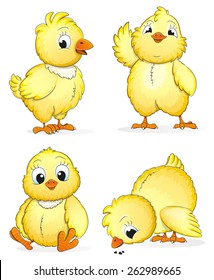 Four small fluffy chickens in different poses on a white background. Cute cartoon characters