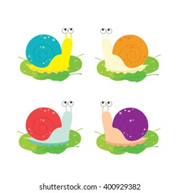Four snails with different colors