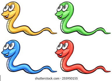 Four snakes colourful on a white background