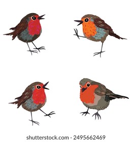 four sparrow set vector illustration