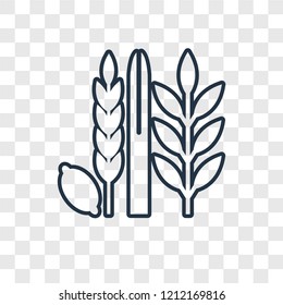 Four Species concept vector linear icon isolated on transparent background, Four Species concept transparency concept in outline style