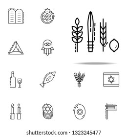 Four Species icon. Judaism icons universal set for web and mobile